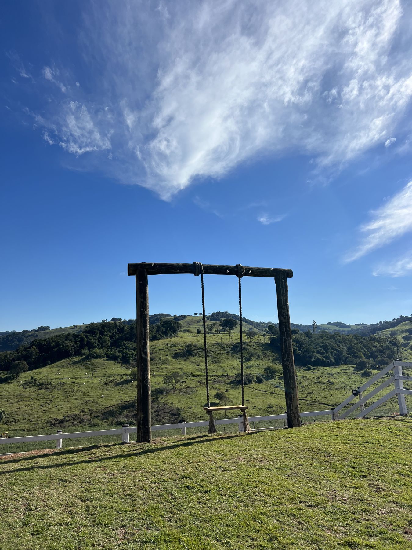 Balanço em meio à natureza